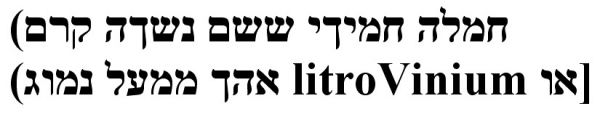monas-hebrew-transc.jpg
